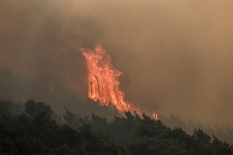 Φωτιά σε δασική έκταση στην Κορινθία – Προληπτική εκκένωση κατασκήνωσης