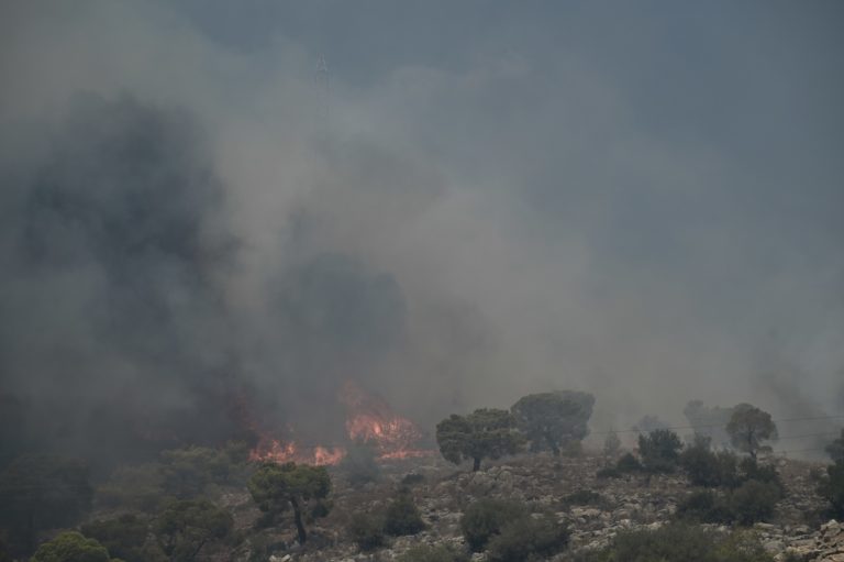 Σαράντα δασικές πυρκαγιές στην Ελλάδα το τελευταίο 24ωρο