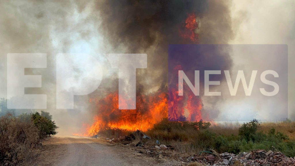 Πύργος: Πυρκαγιά ξέσπασε ταυτόχρονα σε Σαρακίνα και Σπιάντζα (video)