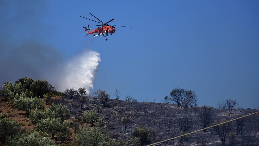 Συνολικά 33 δασικές πυρκαγιές το τελευταίο 24ωρο – Σε ύφεση η φωτιά στη Φυλιαδώνα Φθιώτιδας