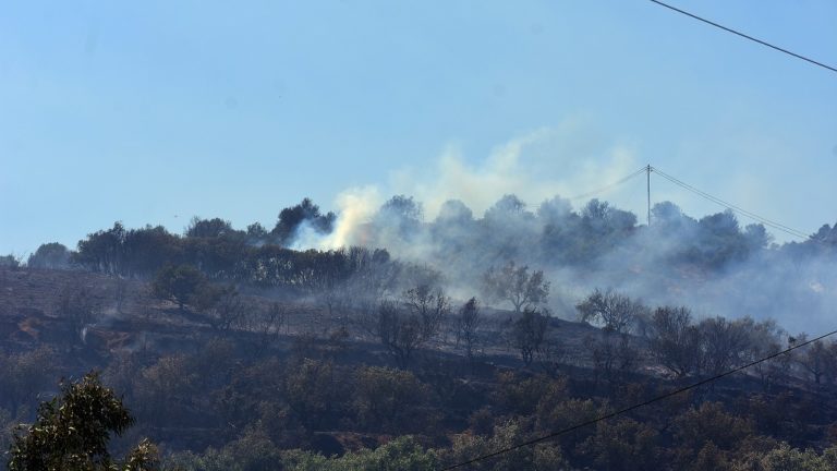 Υπό έλεγχο τέθηκε η φωτιά στα Πυργιώτικα Αργολίδας