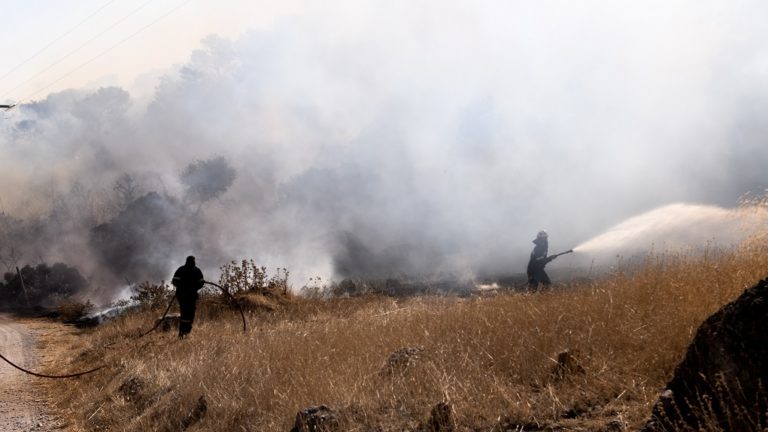 Πυρκαγιά σε αγροτολιβαδική έκταση στον Άγιο Βασίλειο Ρεθύμνου