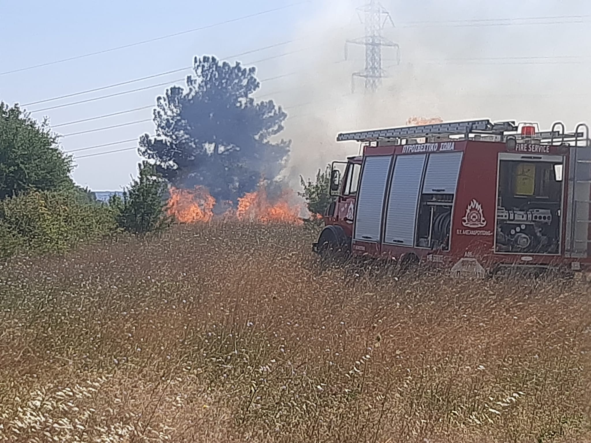 Υπό έλεγχο η πυρκαγιά στο Φυλακτό Έβρου