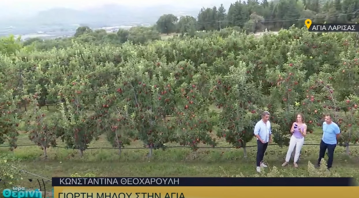 Όλα έτοιμα για τη Γιορτή Μήλου στην Αγιά