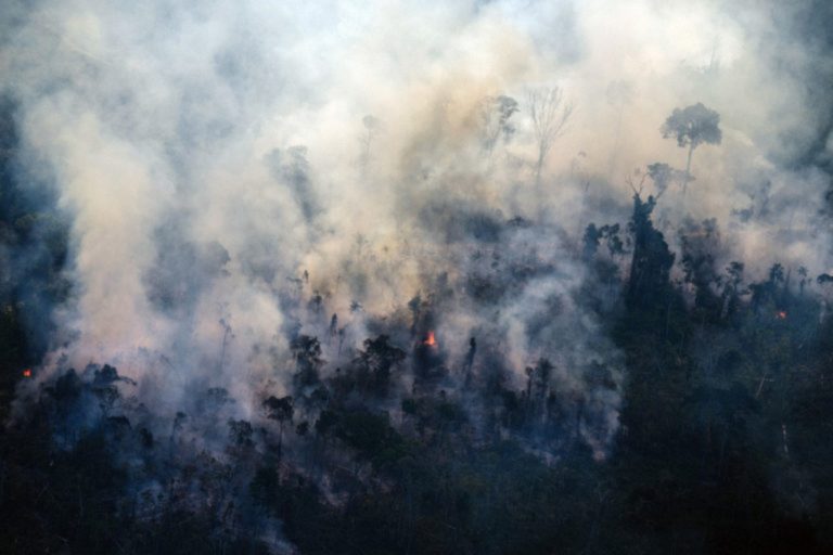 Αποψίλωση ρεκόρ του δάσους του Αμαζονίου- Καταστράφηκαν 5.474 στρέμματα μέσα σε επτά μήνες 