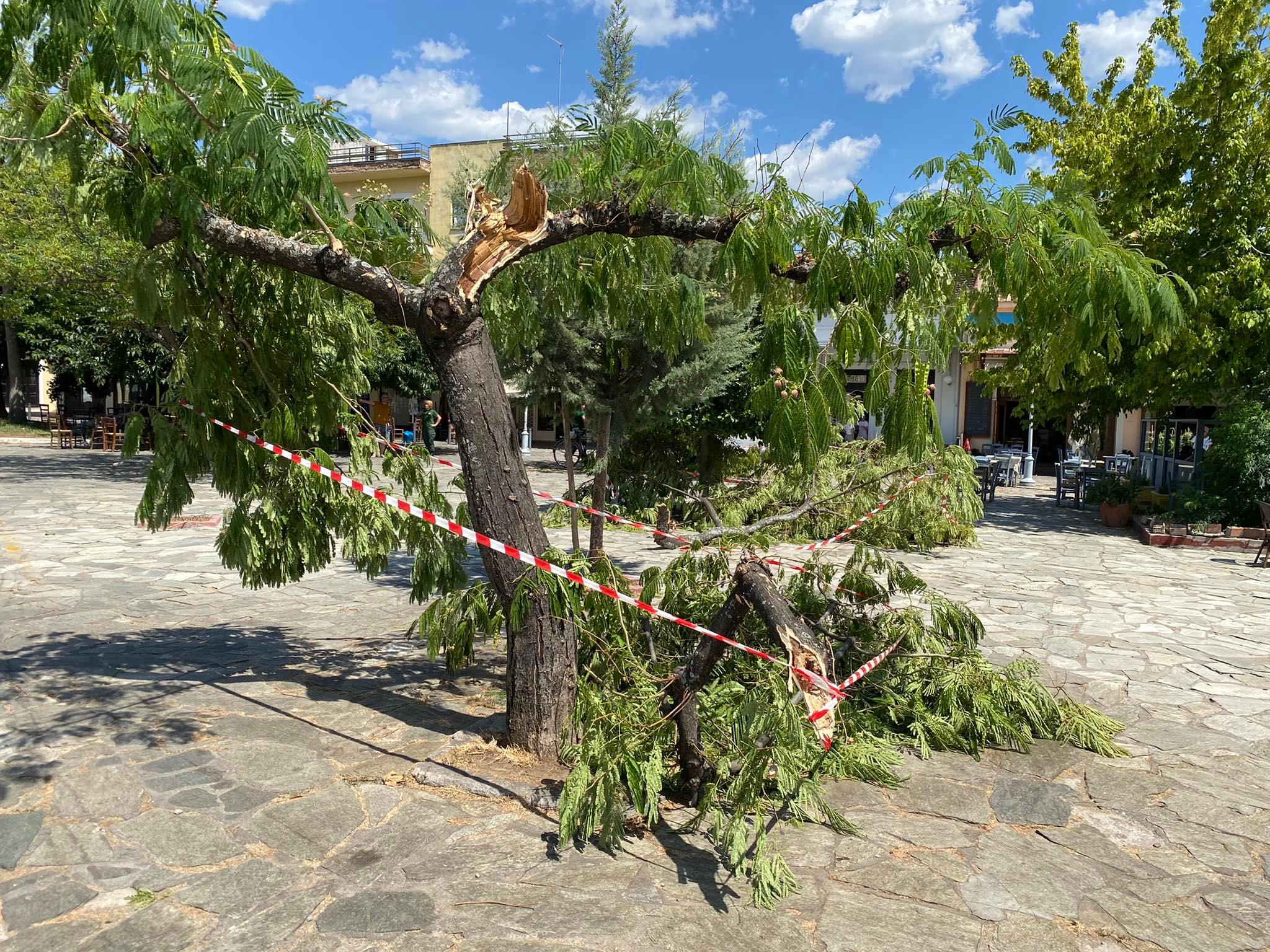 Καλαμάτα: Ζημιές στην πλ. Όθωνος από ξαφνικό ανεμοστρόβιλο (βίντεο & φωτό)