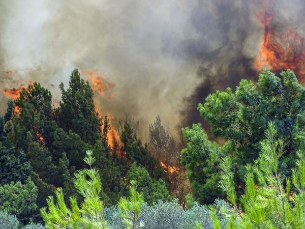 Ήπειρος: Συνεχίζεται η φωτιά στον Αμάραντο