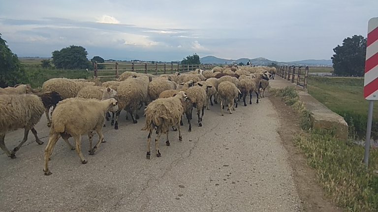 Στα Παγούρια Ροδόπης η ανησυχία για κορονοϊό και οικονομικά προβληματίζει τους κατοίκους