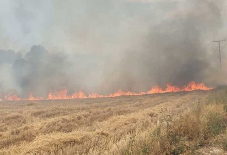 Διακοπή δρομολογίων Προαστιακού Πειραιάς – Κιάτο λόγω φωτιάς σε χαμηλή βλάστηση κοντά στις γραμμές