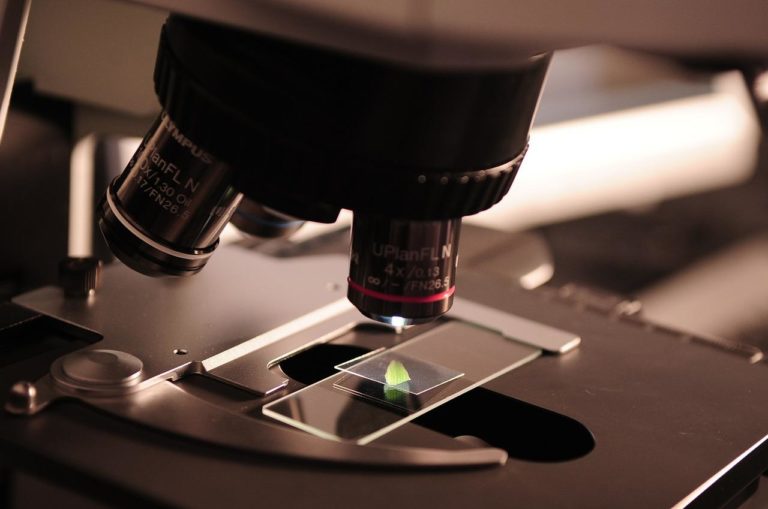 Τα μοριακά τεστ PCR μπορούν να ανιχνεύσουν και τον καρκίνο της μήτρας