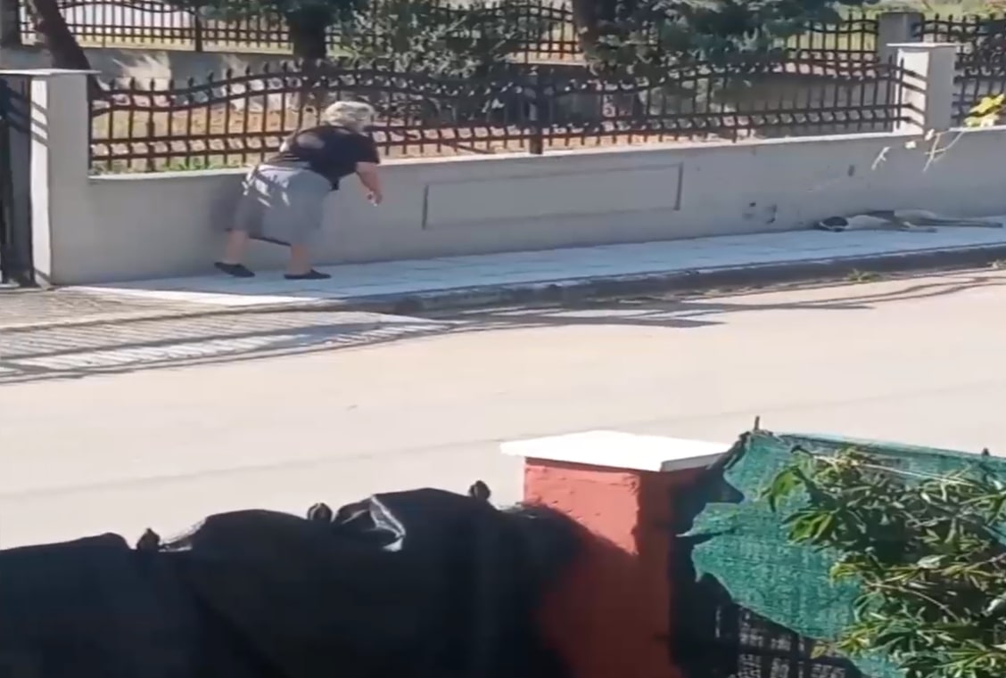 Σάλος με βίντεο που δείχνει ηλικιωμένη να πετά το μπαστούνι της σε αδέσποτο σκυλί