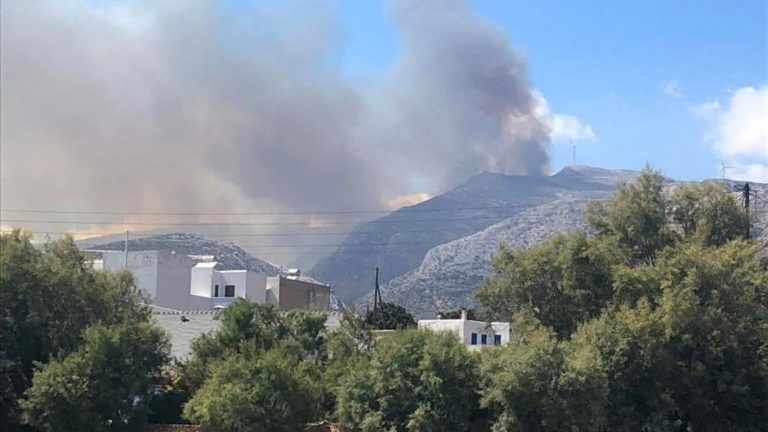 Νάξος: Πυρκαγιά σε χορτολιβαδική έκταση στον Κορωνό – Προσπάθεια να σωθούν τα κοπάδια (βίντεο)
