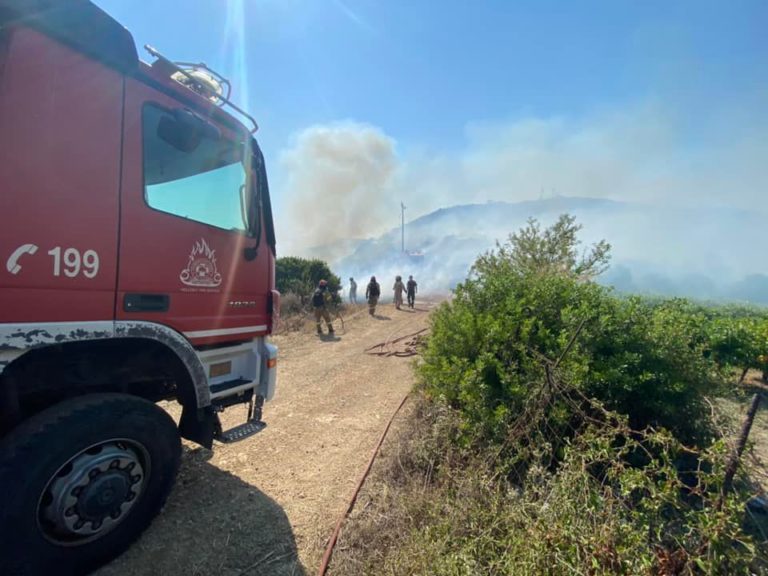 Βόλος: Πυρκαγιά σε αγροτική έκταση στο πεδίο βολής Γλαφυρών