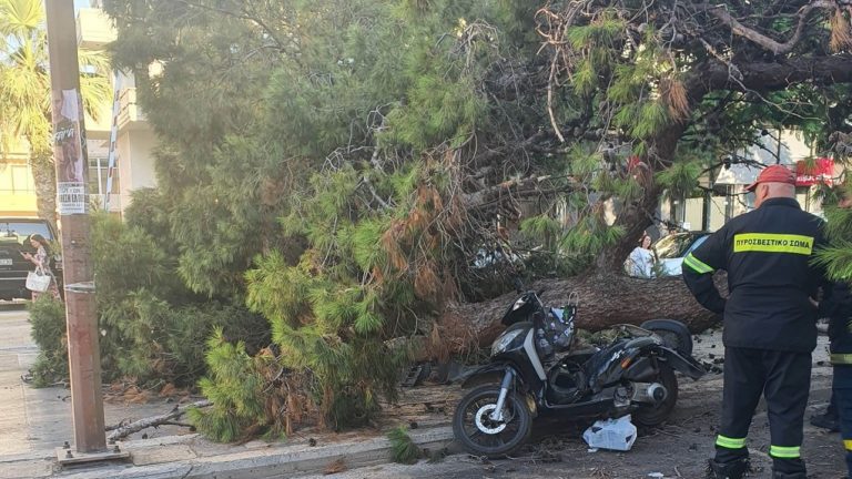 Ηράκλειο: Σύλληψη του προϊσταμένου Πρασίνου του δήμου για την πτώση του δένδρου και το θάνατο 51χρονου