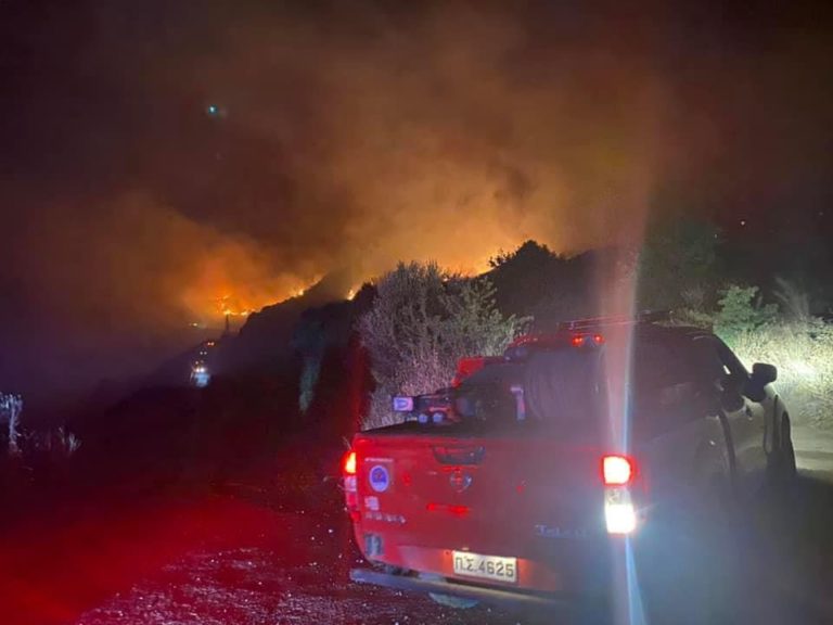 Μεσσηνία: Φωτιά στην Μεταμόρφωση του δήμου Πύλου – Νέστορος (βίντεο)