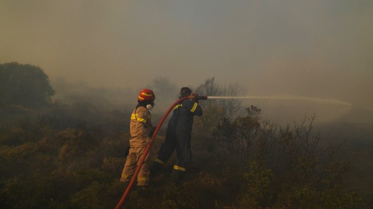 Έβρος: Φωτιά από κεραυνό στην Τσουρνάρα Δαδιάς – Αισιοδοξία ότι θα τεθεί σύντομα υπό έλεγχο