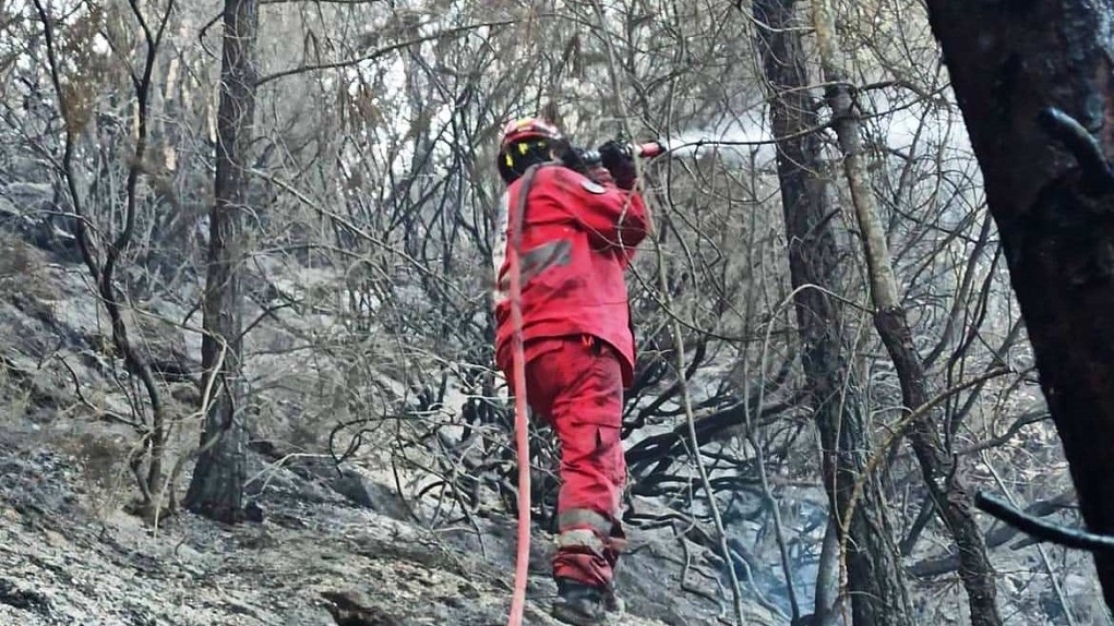 Θάσος: Υπό πλήρη έλεγχο η φωτιά στη Σκάλα Ποταμιάς