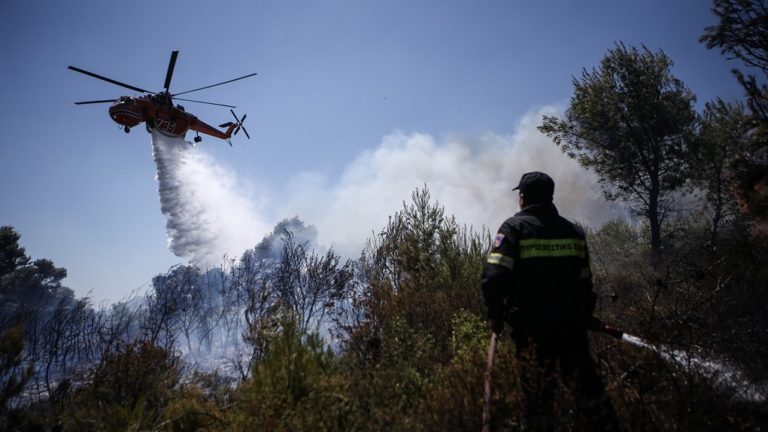 Υπό έλεγχο οι πυρκαγιές στη γέφυρα Αλφειού στην Ηλεία και στα Καλύβια Λακωνίας