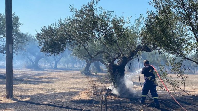 Μεσσηνία: Φωτιές ξέσπασαν σε Θουρία και Ανάληψη – Οριοθετήθηκαν άμεσα