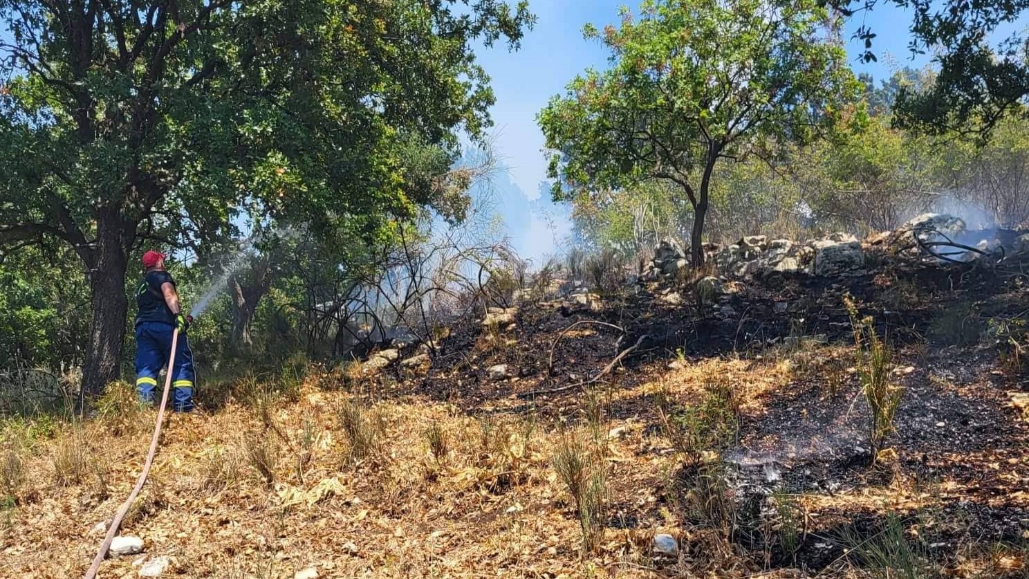 Θεσπρωτία: Υπό έλεγχο η πυρκαγιά στην Σαγιάδα