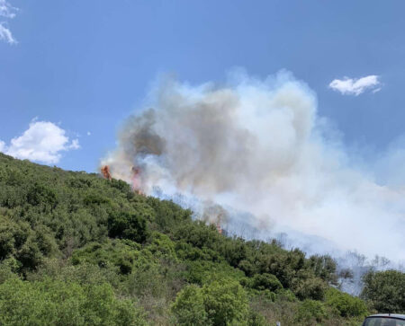 Μεσσηνία: Πυρκαγιά σε εξέλιξη στο Μεσόχωρι Πυλίας – Στην μάχη εναέρια μέσα