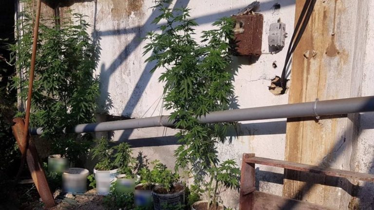 Κέρκυρα: Συλλήψεις για ναρκωτικά