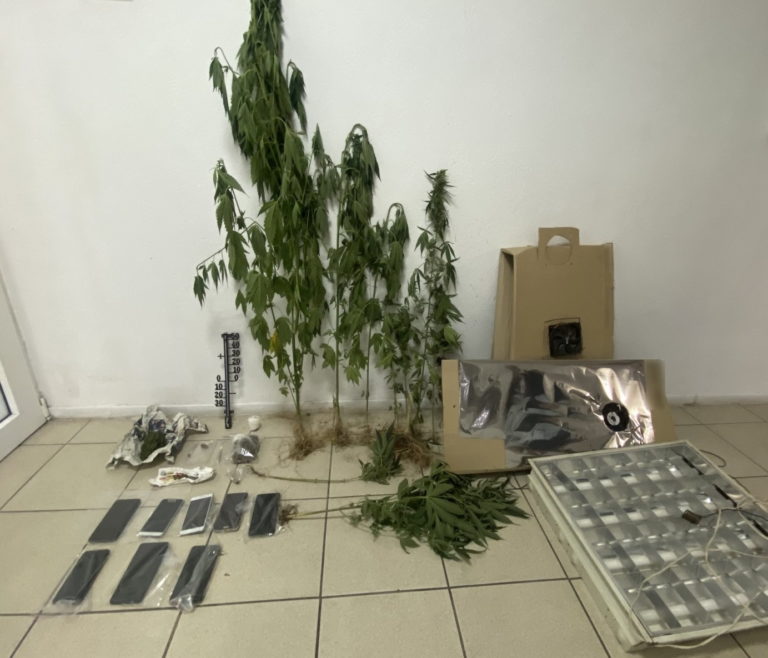 Πιερία: Συλλήψεις τεσσάρων ατόμων για διακίνηση ναρκωτικών