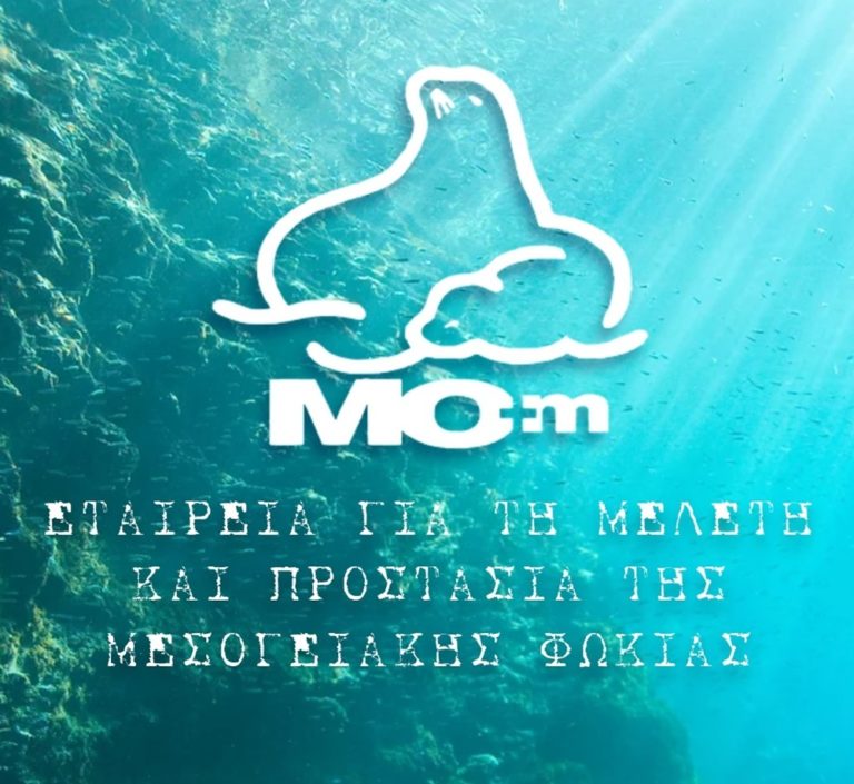 Κέρκυρα: Κινητή έκθεση ενημέρωσης για τη μεσογειακή φώκια