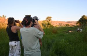 Υγρότοποι της Δυτικής Λέσβου – Εξορμήσεις στη φύση