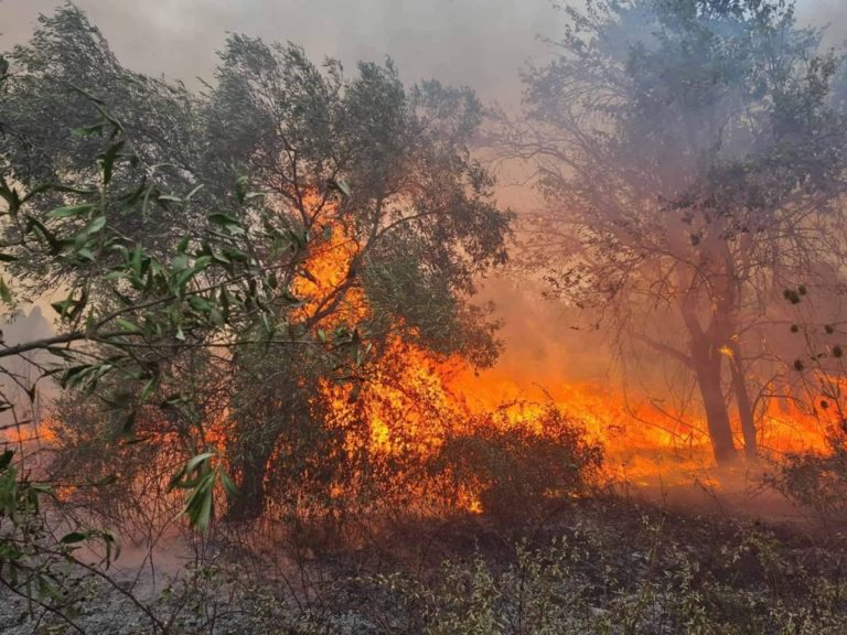Σε ύφεση χωρίς ενεργό μέτωπο η φωτιά στην Ανατολική Μάνη
