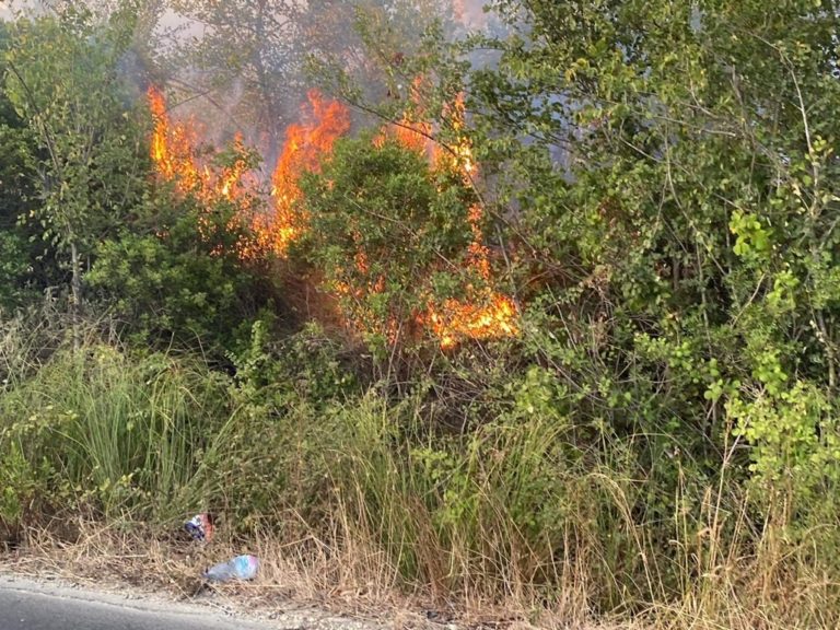 Ρόδος: Φωτιά σε εξέλιξη στην περιοχή “Τρεις” (βίντεο)