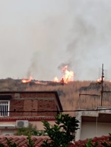 Μυτιλήνη: Φωτιά στα όρια της πόλης