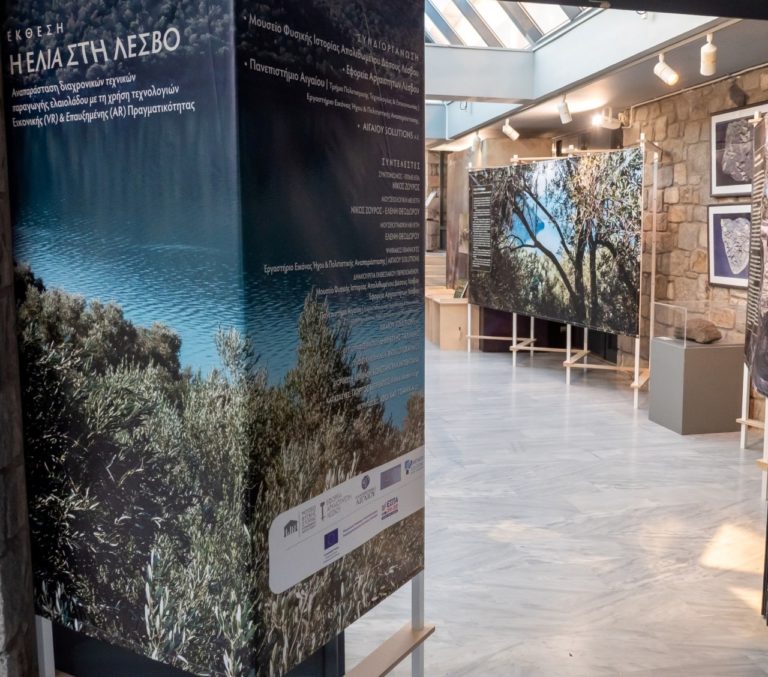 Λέσβος: Διαδραστική έκθεση για την ελιά στο μουσείο Σιγρίου