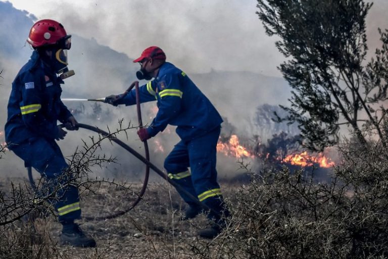 Πυροσβέστες εντόπισαν αρχαιολογικά ευρήματα μετά τη φωτιά στα Λεχαινά