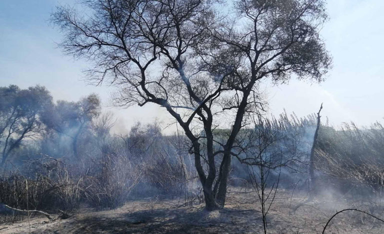 Διπλό μέτωπο πυρκαγιάς στην περιοχή Τραγανού αντιμετώπισε η Πυροσβεστική