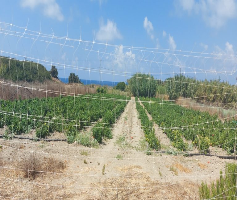 Με 60 εκατ. ευρώ ξεκινά την εφαρμογή του το πρόγραμμα “Κομφούζιο” από το ΥπΑΑΤ