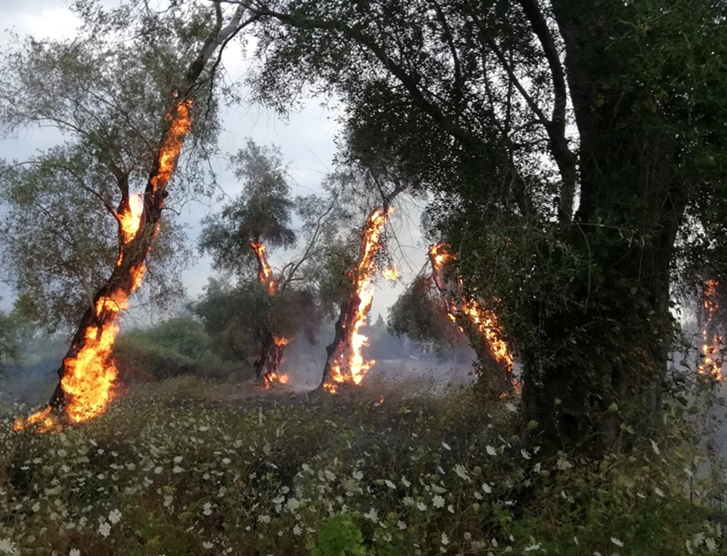 Φωτιά στο Λουτράκι: Εκκενώθηκαν προληπτικά κατασκηνώσεις