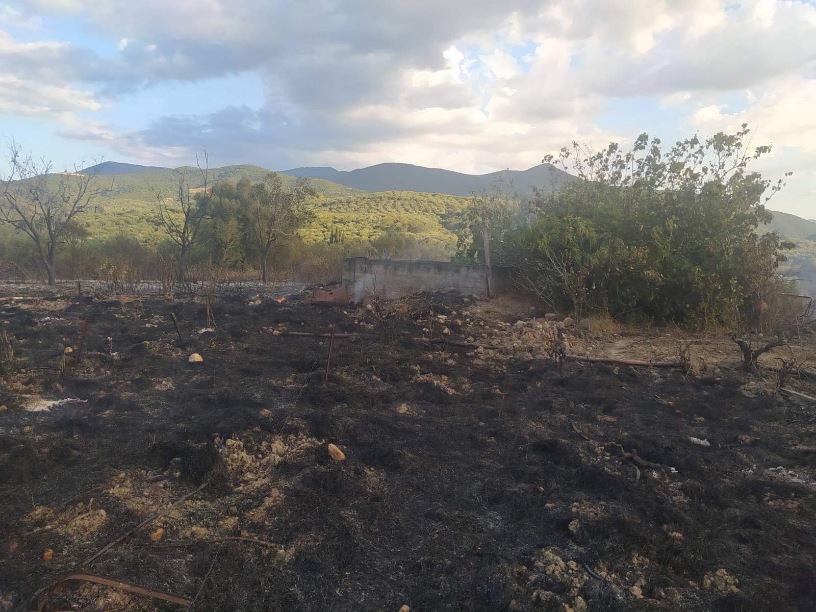 Μεσσηνία: Άμεσα αντιμετωπίστηκε φωτιά στο Αρτίκι Τριφυλίας