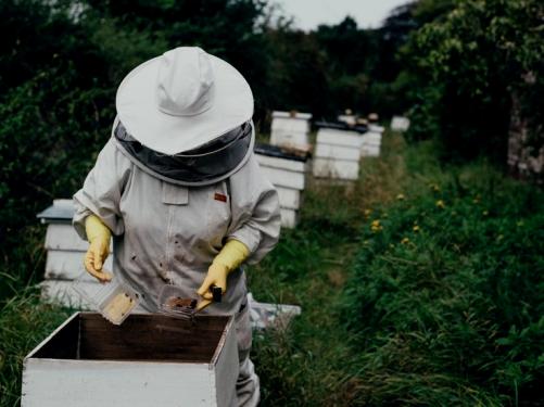 Ξεκινούν οι εκδόσεις της ατομικής – ψηφιακής ταυτότητας μελισσοκόμου