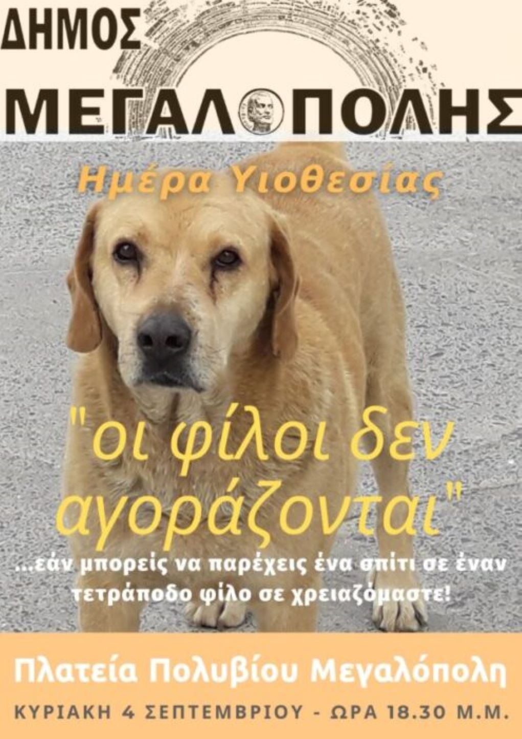 Ημέρα υιοθεσίας αδέσποτων στη Μεγαλόπολη