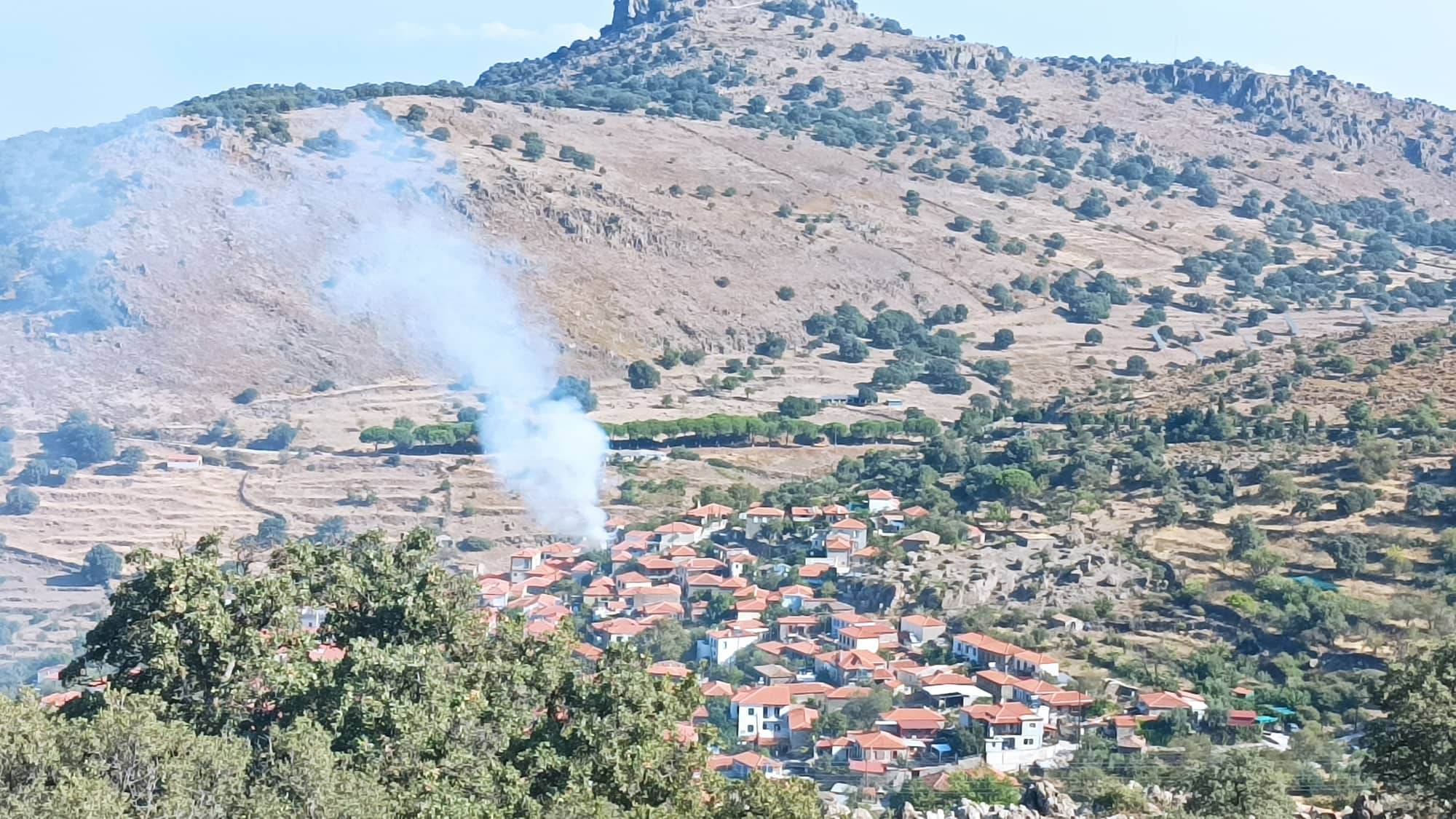 Λέσβος: Σε εξέλιξη φωτιά στην Καλλονή