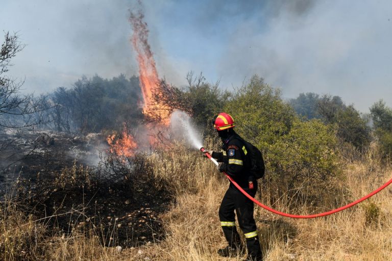 Οριοθετήθηκε η πυρκαγιά σε δασική έκταση στον Μαραθώνα