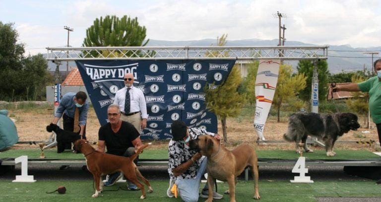 Καλαμάτα: Έκθεση Μορφολογίας Σκύλων στο Πάρκο Κυκλοφοριακής Αγωγής