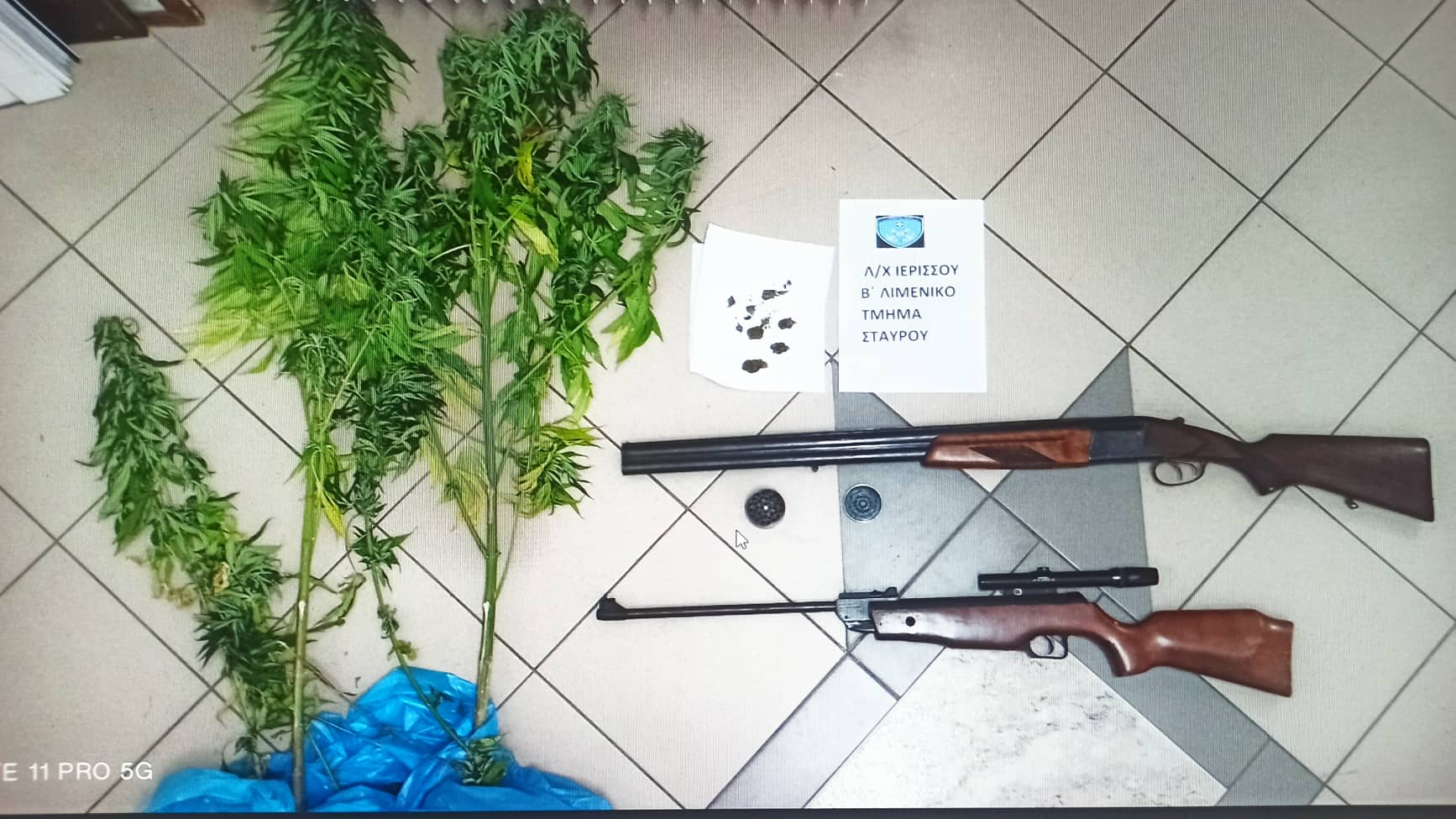 Σταυρός: Το Λιμενικό εντόπισε φυτεία κάνναβης και δύο όπλα σε σπίτι στην Ασπροβάλτα