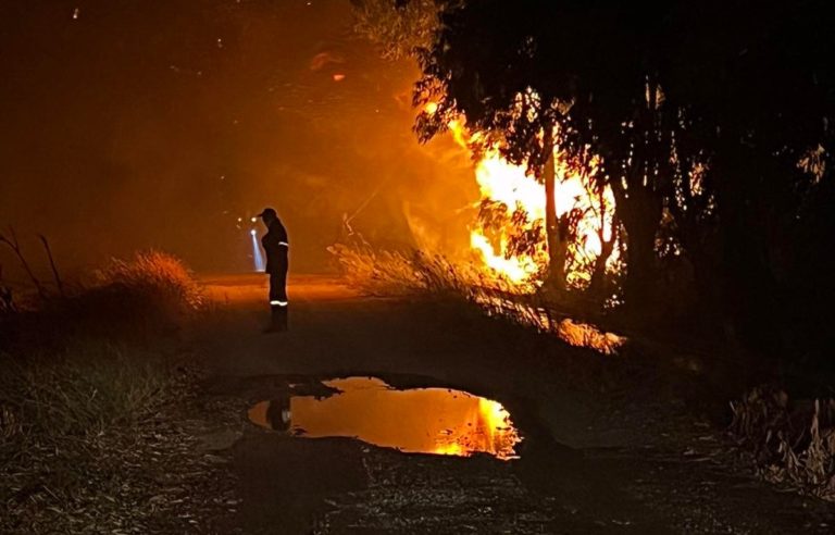 Καλαμάτα: Ελέγχθηκε η πυρκαγιά  στο συνοικισμό Μπουρνιά – Απείλησε σπίτια και θερμοκήπια