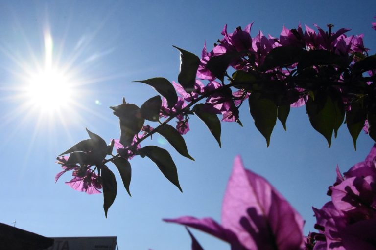 Γενικά αίθριος καιρός – Σε  ποιες περιοχές θα έχει βροχές και καταιγίδες