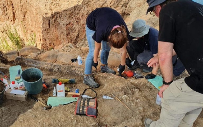Απολιθωμένος χαυλιόδοντας 2,5 μέτρων αποκαλύπτει στοιχεία για τους προϊστορικούς ελέφαντες της Μεσογείου