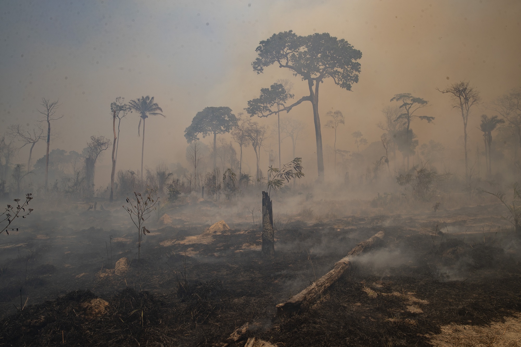 Αμαζόνιος: Οι χειρότερος Αύγουστος των τελευταίων 12 ετών για τις πυρκαγιές