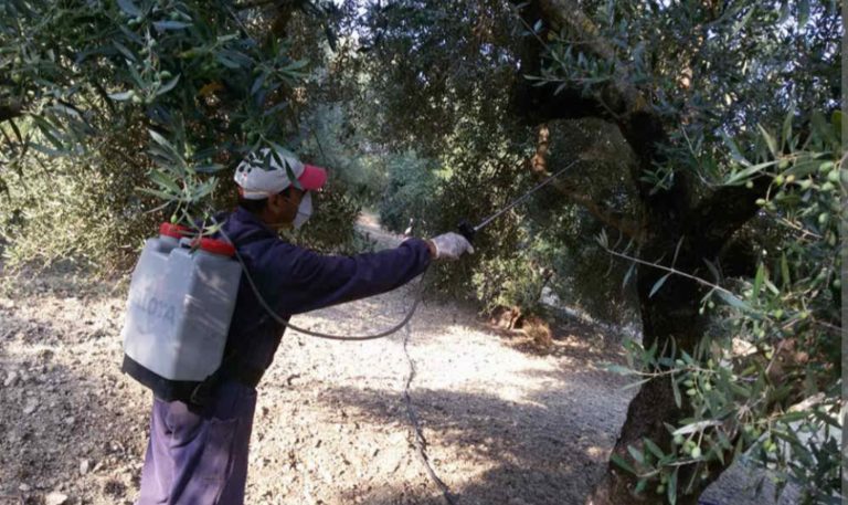 Διενέργεια γενικού δολωματικού ψεκασμού στον Δήμο Τεμπών