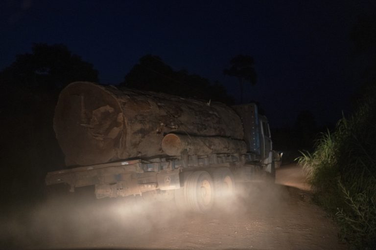 Βραζιλία: Κορμοί δέντρων από νταλίκα συνέθλιψαν αυτοκίνητο – Τέσσερεις οι νεκροί